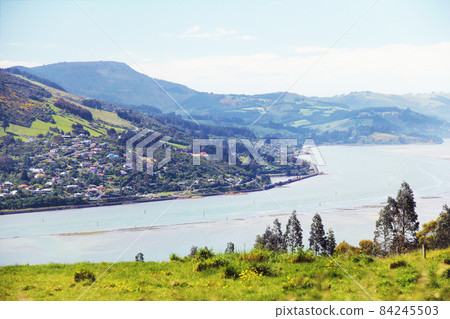 Coastal view from top of the grassland mountain in Dunedin, Otago Peninsula, South Island New Zealand Coastal view from top of the grassland mountain in Dunedin, Otago Peninsula, South Island New Zealand 84245503
