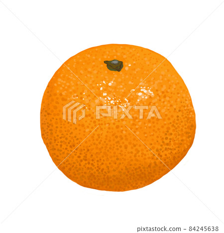 Mandarin orange illustration - Stock Illustration [84245638] - PIXTA