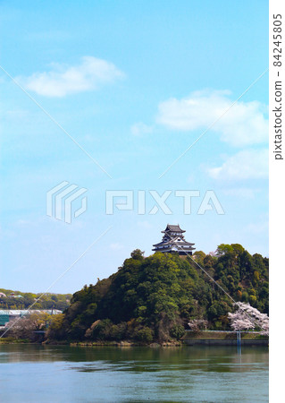Inuyama city, Inuyama castle and cherry blossom landscape in spring 84245805
