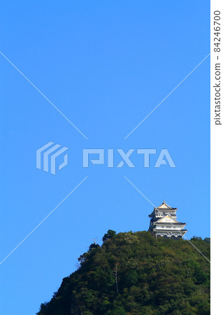 岐阜市，近畿山和岐阜城的風景 84246700