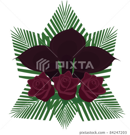 Calla lily and rose dark gloomy color bouquet with palm leaves vector illustration Calla lily and rose dark gloomy color bouquet with palm leaves vector illustration 84247203