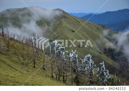 白霜的鶴木山頂風景 白霜的鶴木山頂風景 84248152
