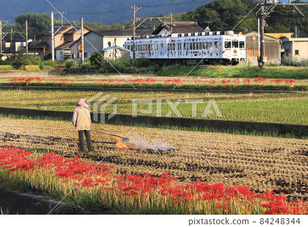 Autumn Wakayama Electric Railway Koshigawa Line Autumn Wakayama Electric Railway Koshigawa Line 84248344