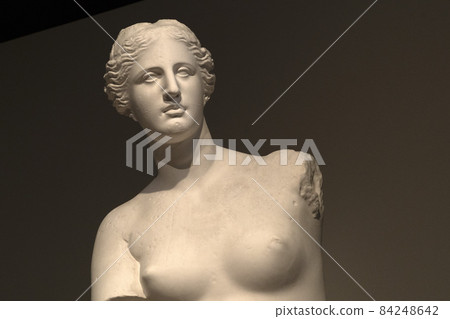 Venus of milo statue detail Venus of milo statue detail 84248642