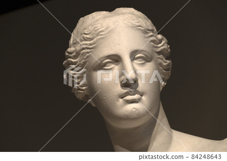 Venus of milo statue detail 84248643