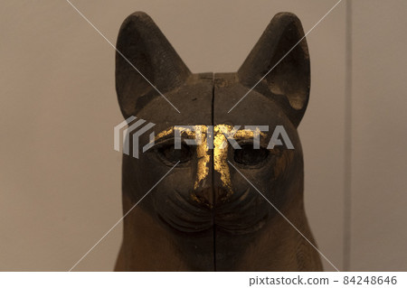 Mummified cat mummy egyptian in a pyramid tomb Mummified cat mummy egyptian in a pyramid tomb 84248646