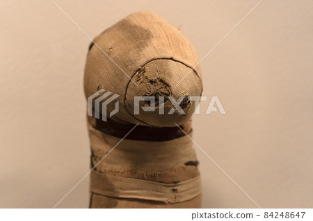Mummified cat mummy egyptian in a pyramid tomb Mummified cat mummy egyptian in a pyramid tomb 84248647