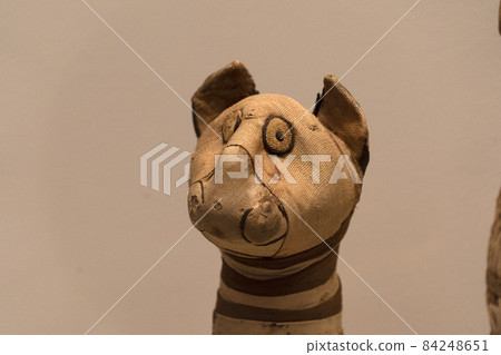 Mummified cat mummy egyptian in a pyramid tomb 84248651