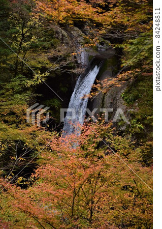 Vertical photo of Ogama Falls surrounded by autumn leaves Vertical photo of Ogama Falls surrounded by autumn leaves 84248811