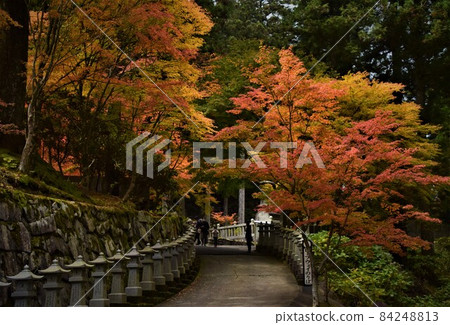Shikoku Sacred Ground 66th Mt. Umpenji Mountain Autumn Leaves Approach Shikoku Sacred Ground 66th Mt. Umpenji Mountain Autumn Leaves Approach 84248813