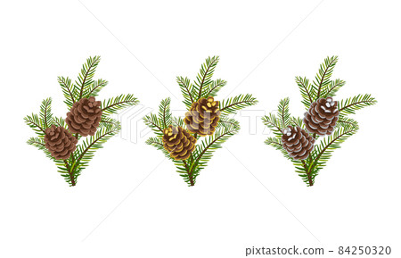 Set of green Christmas fir branches with silver and gold cones with sparkles. Festive interior decoration for new year, element for design Christmas wreath on door. Vector flat illustration Set of green Christmas fir branches with silver and gold cones with sparkles. Festive interior decoration for new year, element for design Christmas wreath on door. Vector flat illustration 84250320
