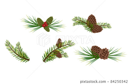 Set of green Christmas fir and pine branches with cones and berries. Festive interior decoration for new year, element for design Christmas wreath on door. Vector flat illustration 84250342