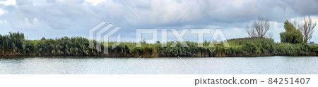 landscape of the lake in the Ukrainian part of the Danube Delta 84251407