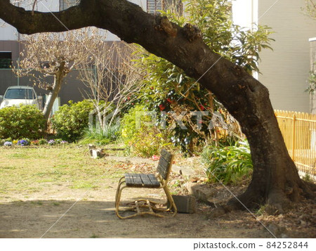 Bench 84252844