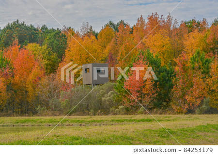 Deer hunting stand on the edge of the trees with the fall colorful leaves in Maryland 84253179