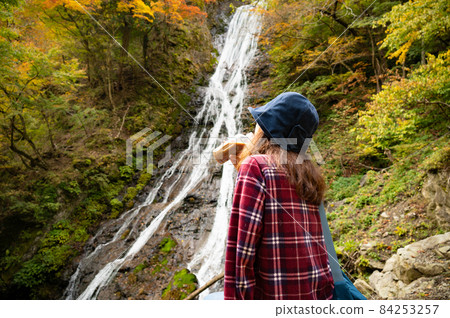 休息看秋葉瀑布的中年婦女 84253257
