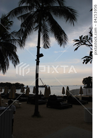 新加坡各個旅遊景點向公眾開放 聖淘沙島 USS Universal Studios Little India 84253956