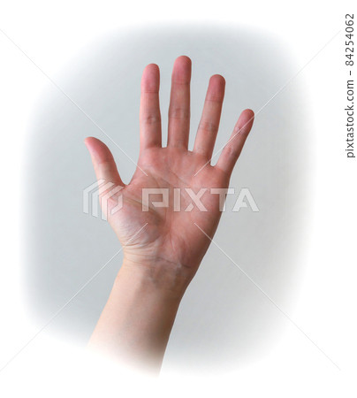舉手 84254062