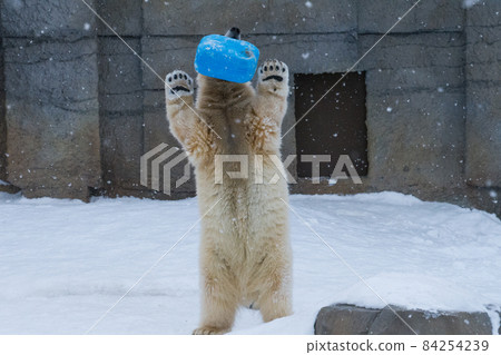 Long live the plastic can 84254239