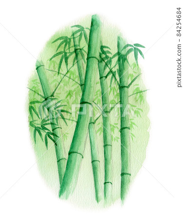 Analog watercolor bamboo grove Analog watercolor bamboo grove 84254684