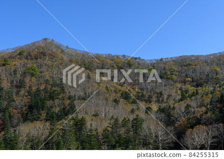 日光白根山的紅葉 日光白根山的紅葉 84255315