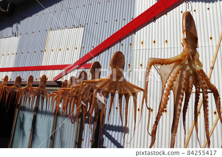 Sun-dried octopus (Himakajima, Aichi Prefecture) Sun-dried octopus (Himakajima, Aichi Prefecture) 84255417