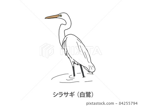 [縣鳥] Shirasagi（Shirasagi）德島縣 84255794