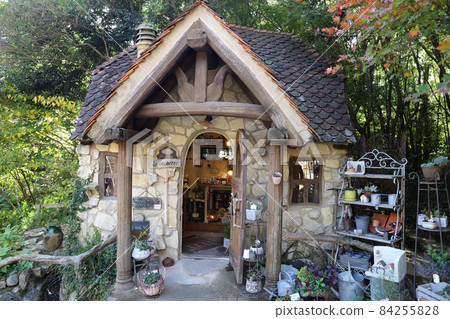 Hamamatsu City, Shizuoka Prefecture Warmth Forest Hamamatsu City, Shizuoka Prefecture Warmth Forest 84255828