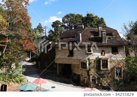 Hamamatsu City, Shizuoka Prefecture Warmth Forest Hamamatsu City, Shizuoka Prefecture Warmth Forest 84255829