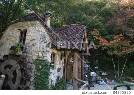 Hamamatsu City, Shizuoka Prefecture Warmth Forest Hamamatsu City, Shizuoka Prefecture Warmth Forest 84255830