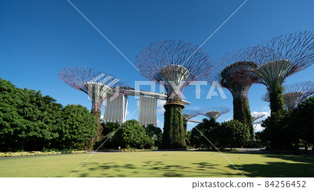 [Singapore] Gardens by the Bay landscape 84256452
