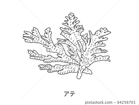 [縣樹] 吃了石川線描 84256701