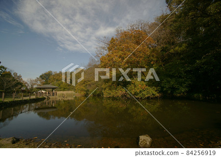 Kuraki Park, Yokohama City 84256919
