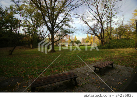 橫濱市倉木公園 橫濱市倉木公園 84256923