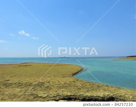 沖繩海2021 沖繩海2021 84257210