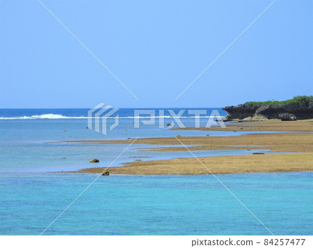 沖繩海2021 沖繩海2021 84257477