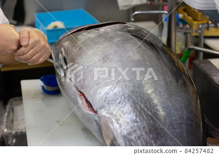 This tuna sushi dismantling scenery 84257482