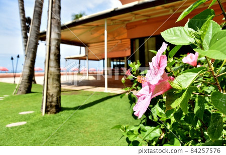 Holidays in Hawaii Holidays in Hawaii 84257576