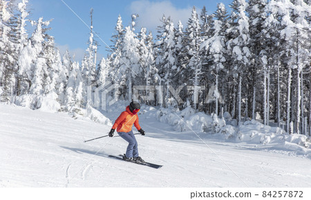 Alpine ski. Skiing woman skier going downhill against snow covered trees on ski trail slope piste in winter. Good recreational female skier in red ski jacket 84257872