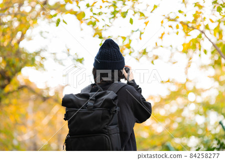 Camera girl yellow leaves photographer Camera girl yellow leaves photographer 84258277