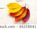 Autumn, fall foliage and shabby chic vintage antique white table 84258641