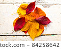 Autumn, fall foliage and shabby chic vintage antique white table 84258642