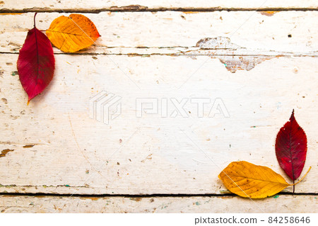 Autumn, fall foliage and shabby chic vintage antique white table Autumn, fall foliage and shabby chic vintage antique white table 84258646