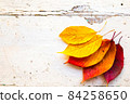 Autumn, fall foliage and shabby chic vintage antique white table 84258650