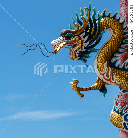 Head of Dragon on the blue sky 84259383