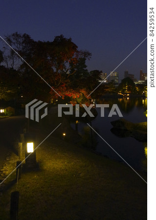 德川園燈火通明和城市景觀 德川園燈火通明和城市景觀 84259534