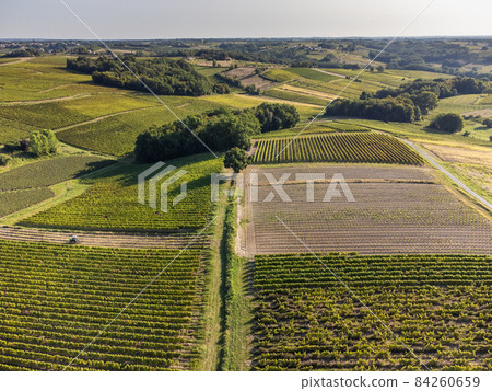 Aerial view, Vineyard Sunrise in summer, Sainte Croix du Mont, Bordeaux Vineyard, Gironde, Aquitaine 84260659
