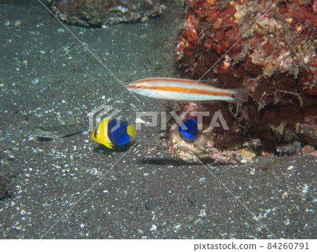 Somewaykehkko 84260791