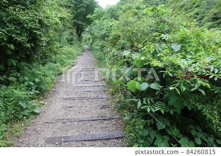 福知山線廢棄線痕跡 福知山線廢棄線痕跡 84260815