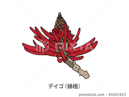 [縣花] Deigo 沖繩縣 84262923